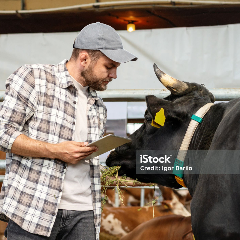 vm lab assistenza tecnica nella produzione agricola